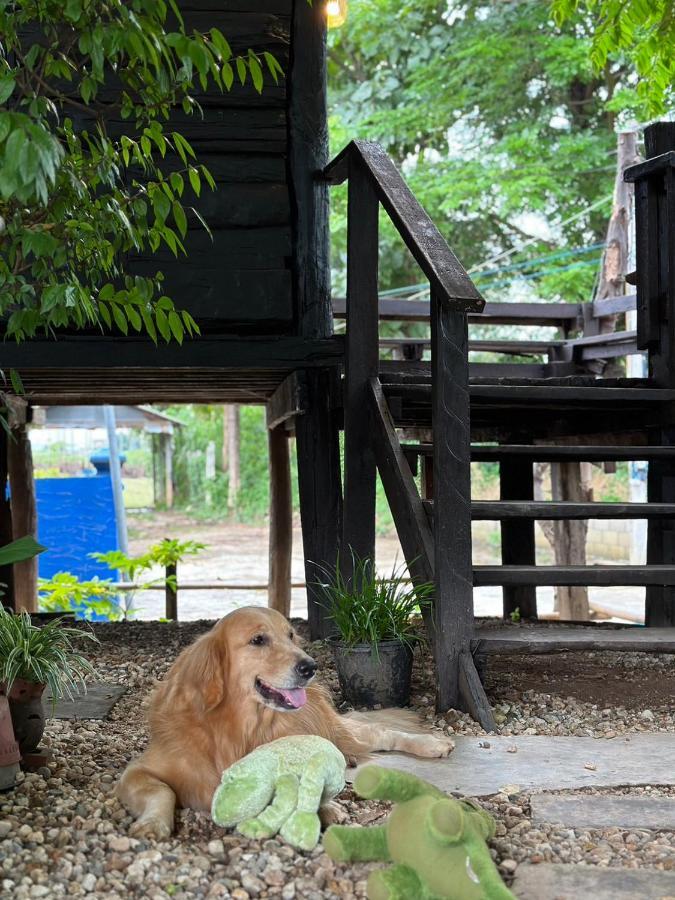 The Legend Homestay. Mae Ai Экстерьер фото