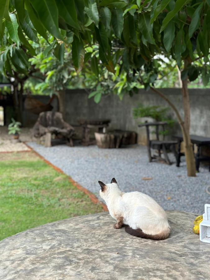 The Legend Homestay. Mae Ai Экстерьер фото